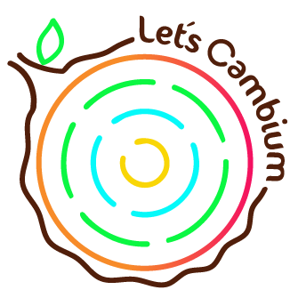 Let's Cambium Logo